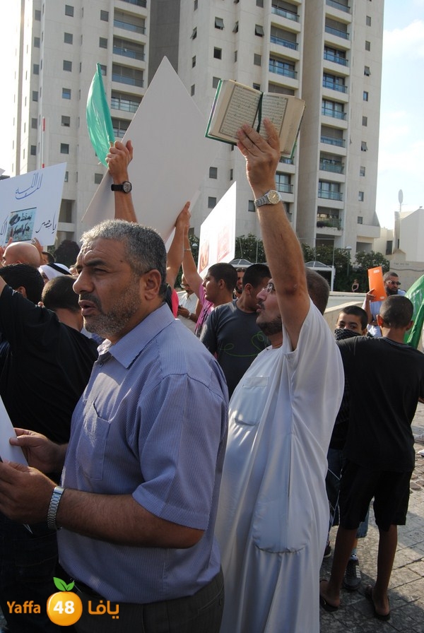 td egypt empassy 814 (24).JPG